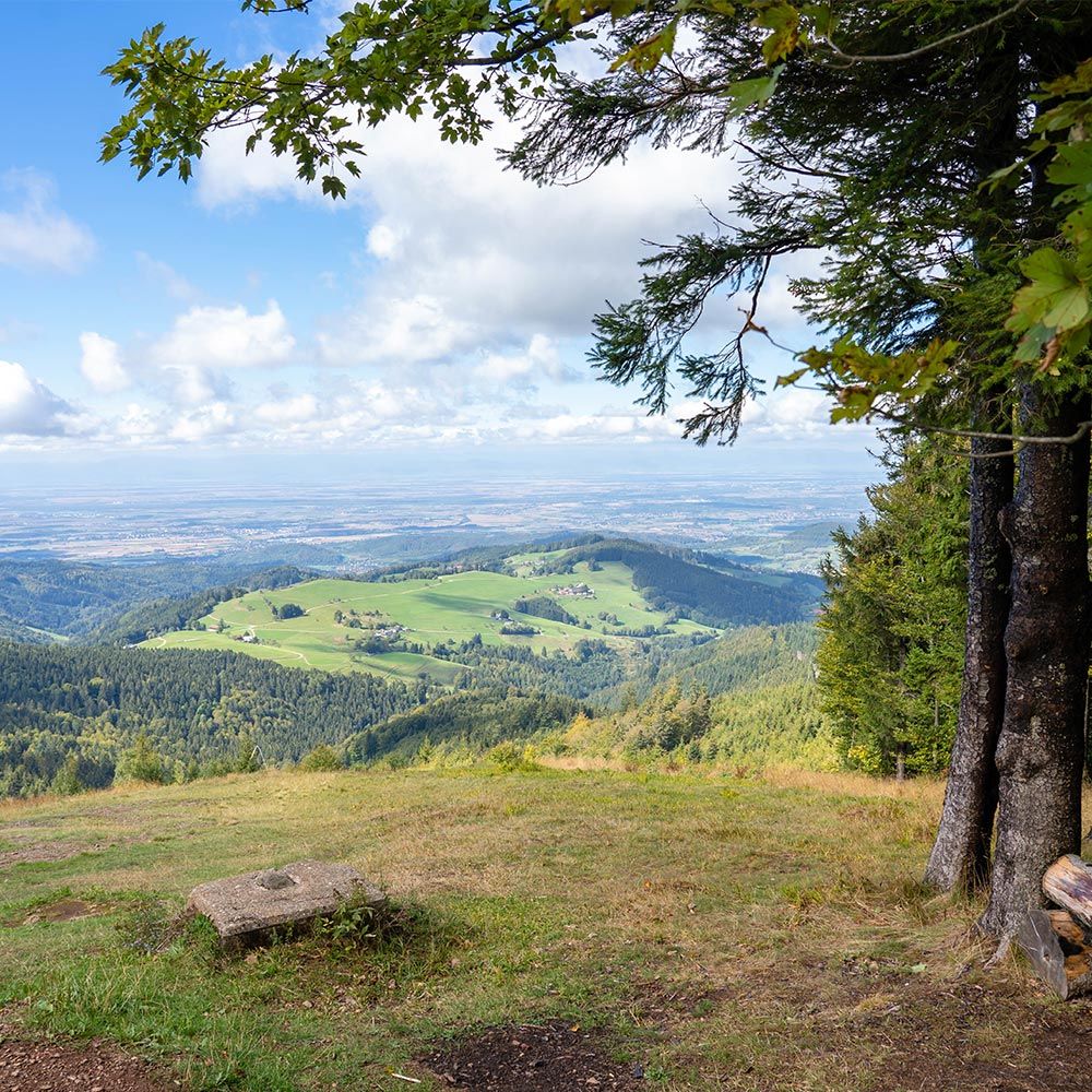 Schauinsland Panoramablick
