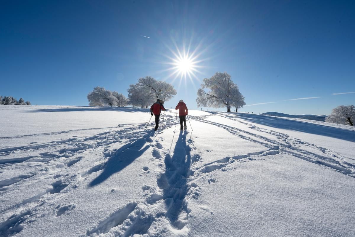 Schneeschuhwandern am Schauinsland 