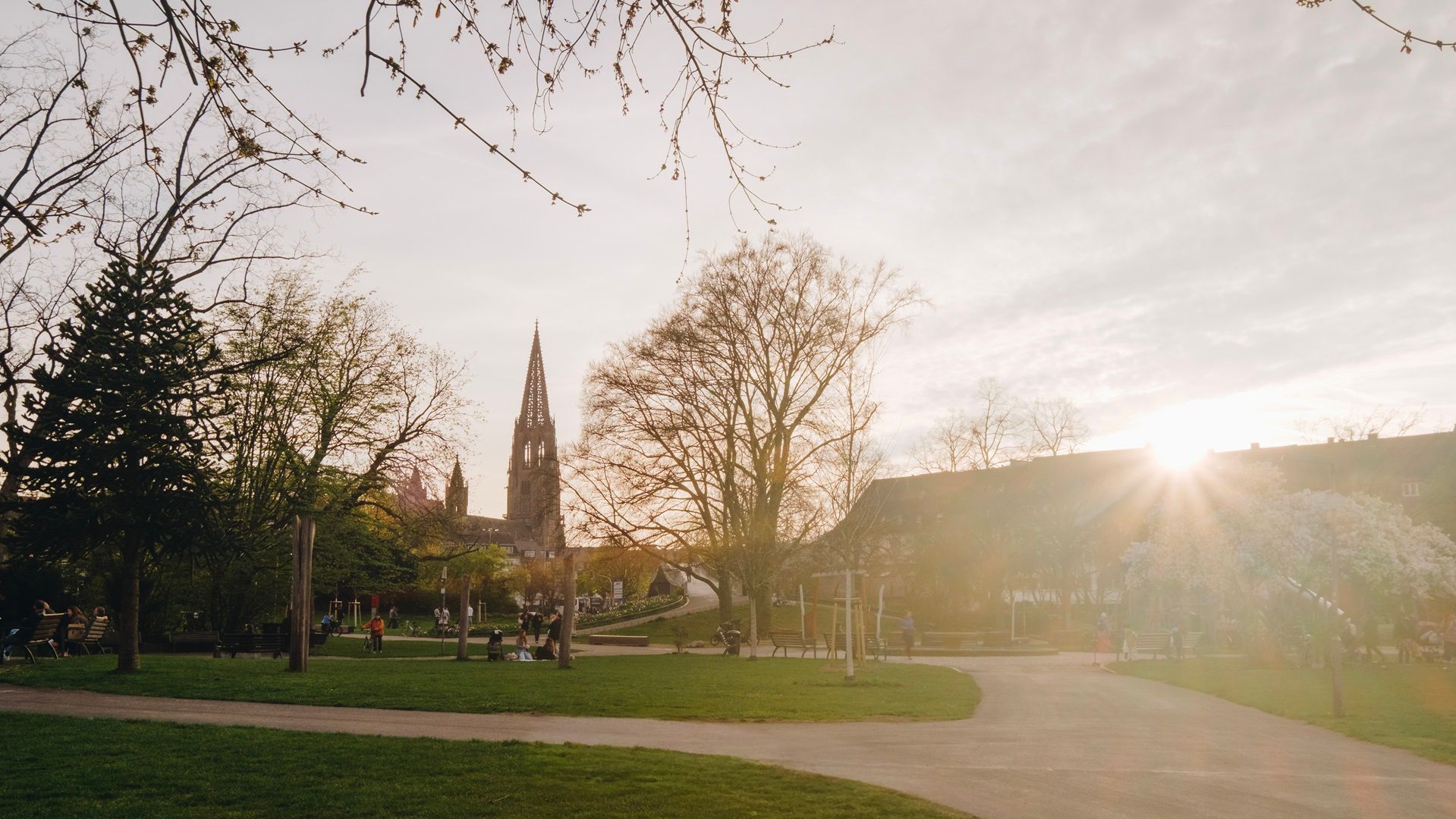 Blick auf die Bäume und das Münster