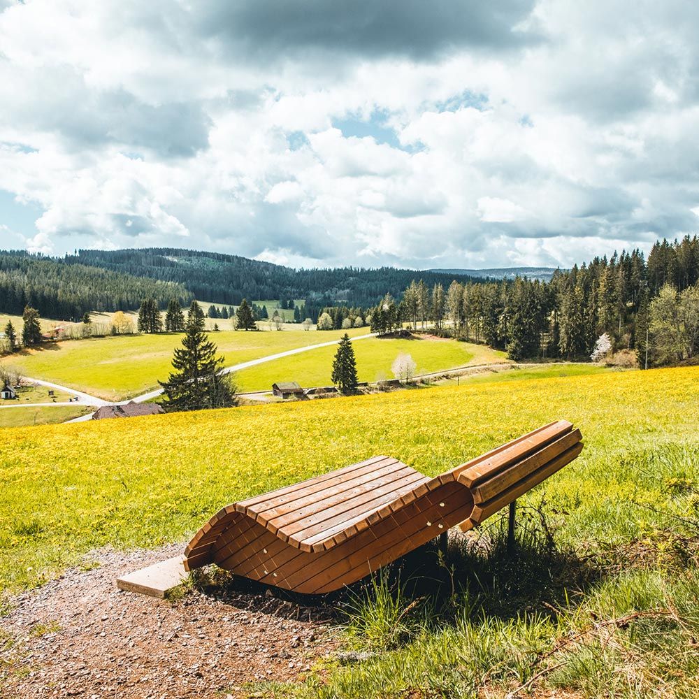 Himmelsliege in der Sonne Lenzkirch Raitenbuch