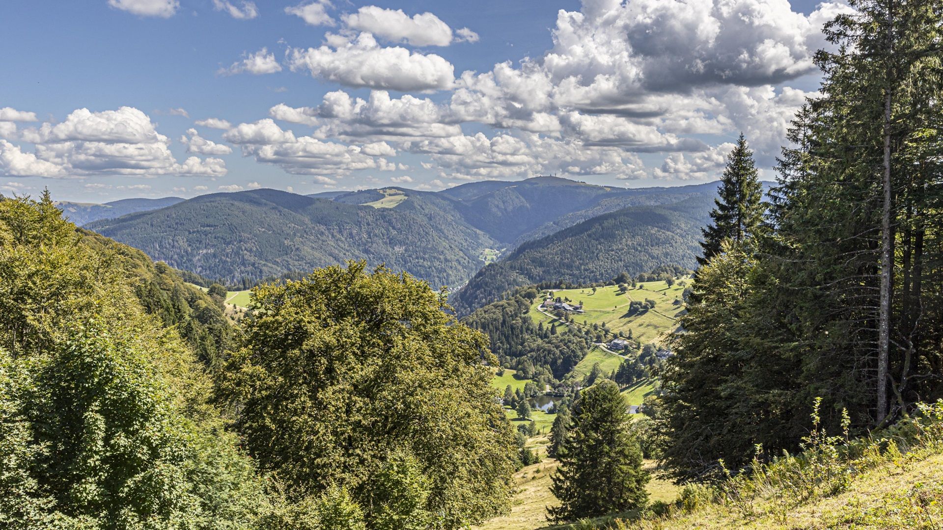 Blick vom Schauinsland auf umliegende Berge