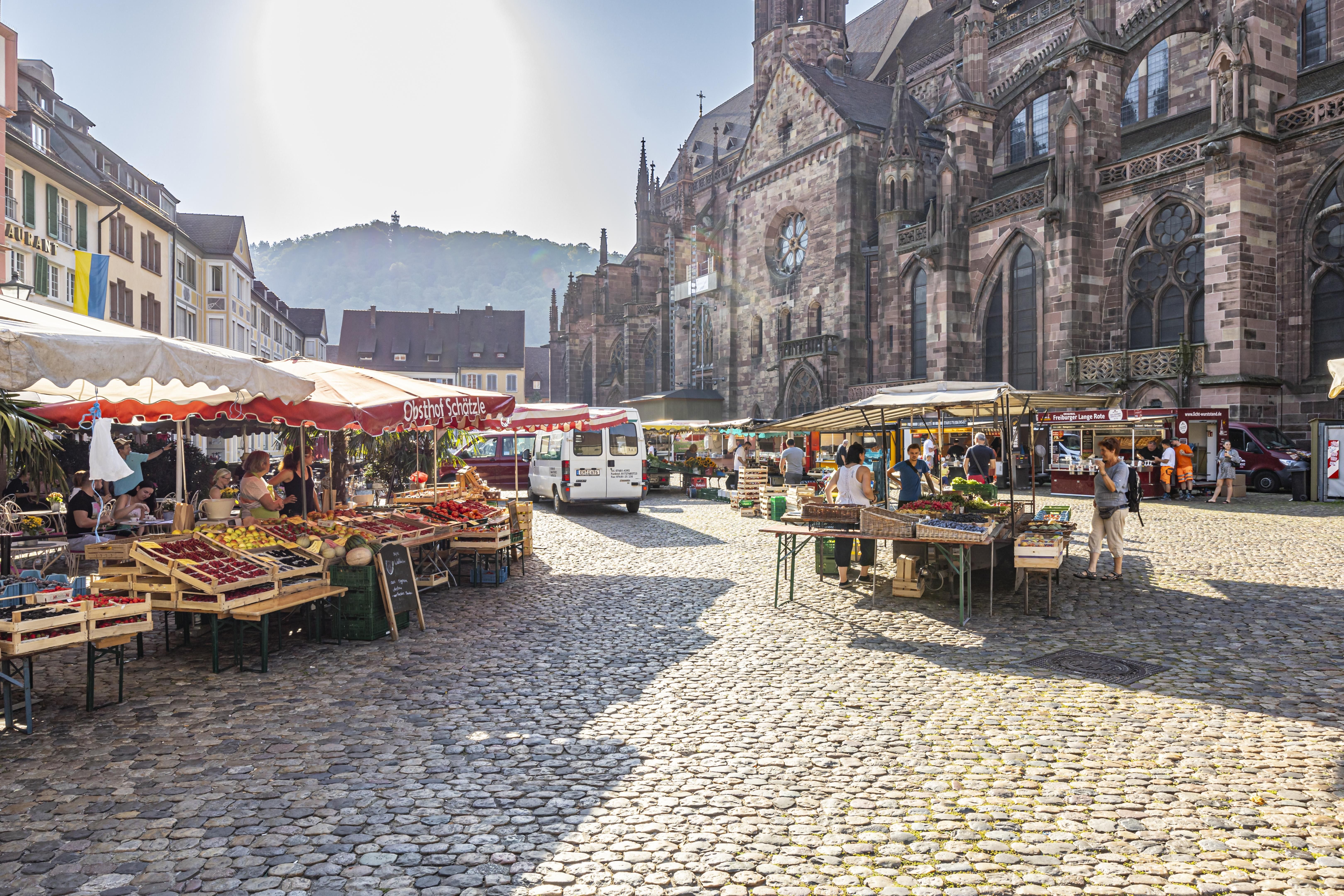 Marktstände auf dem Münstermarkt in Freiburg. Menschen kaufen frisches Obst und Gemüse. Im Hintergrund das Freiburger Münster und sonniges Wetter.