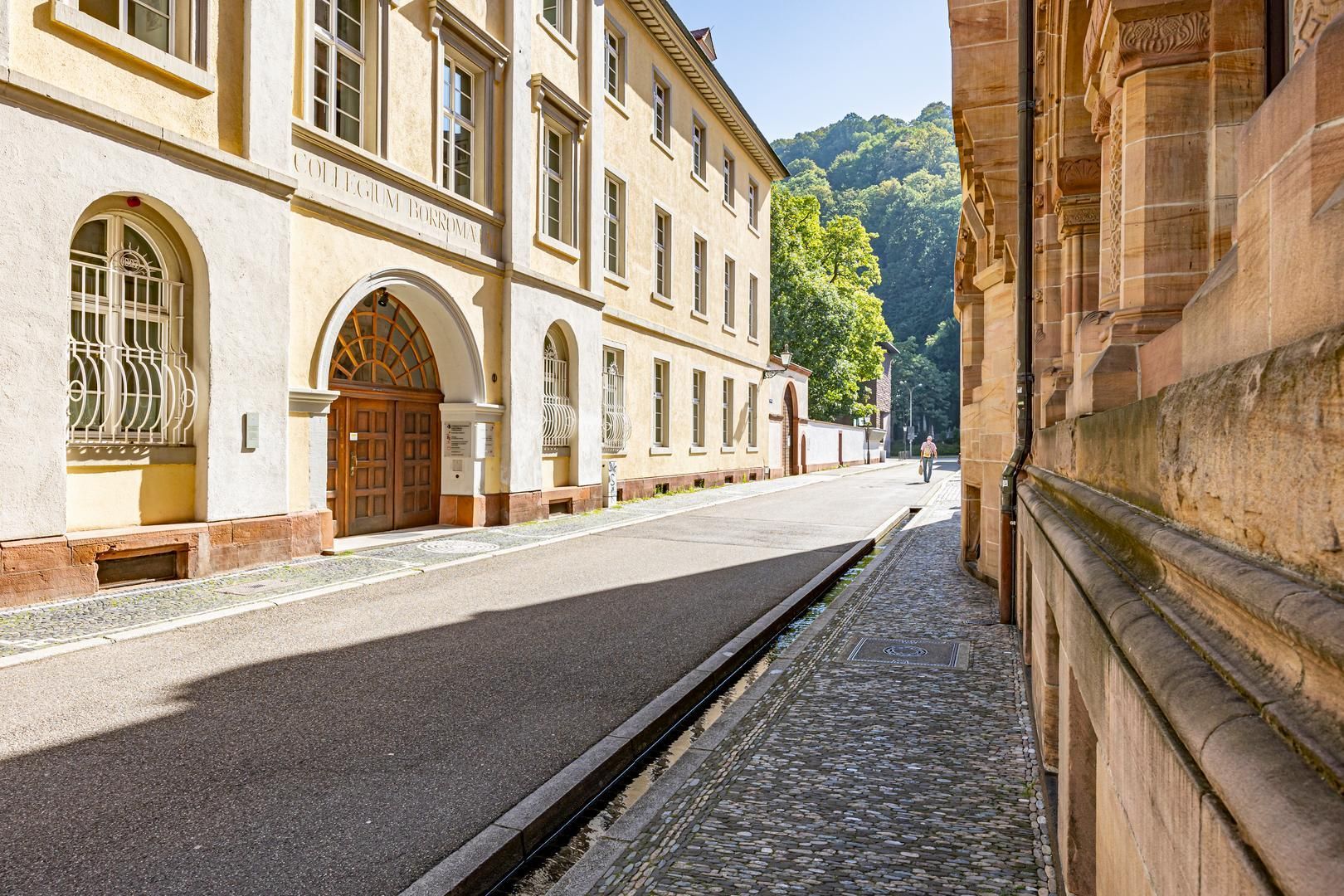 Außenansicht des Collegium Borromaeum in der Schoferstraße in Freiburg.