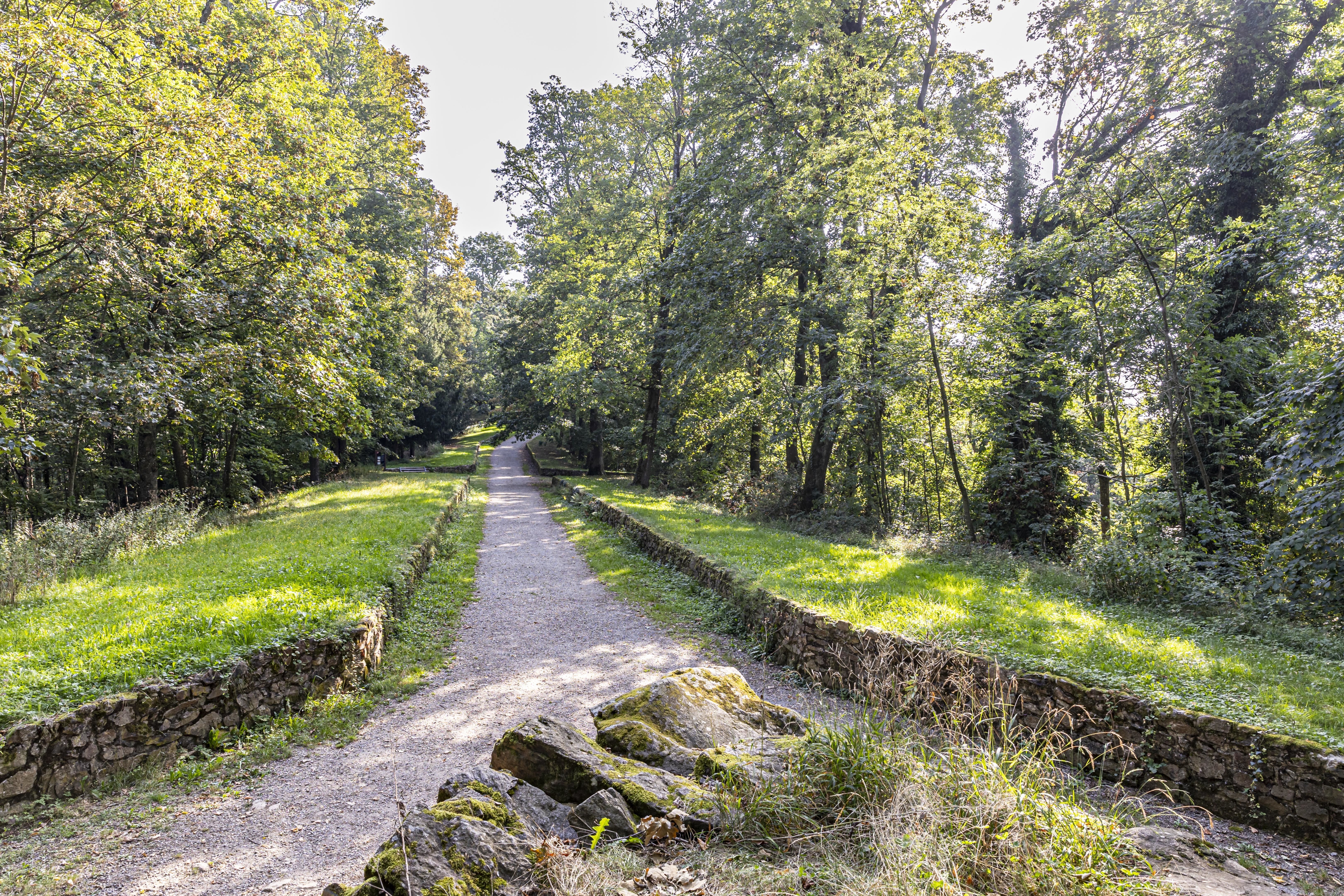 Wanderweg am Schlossberg