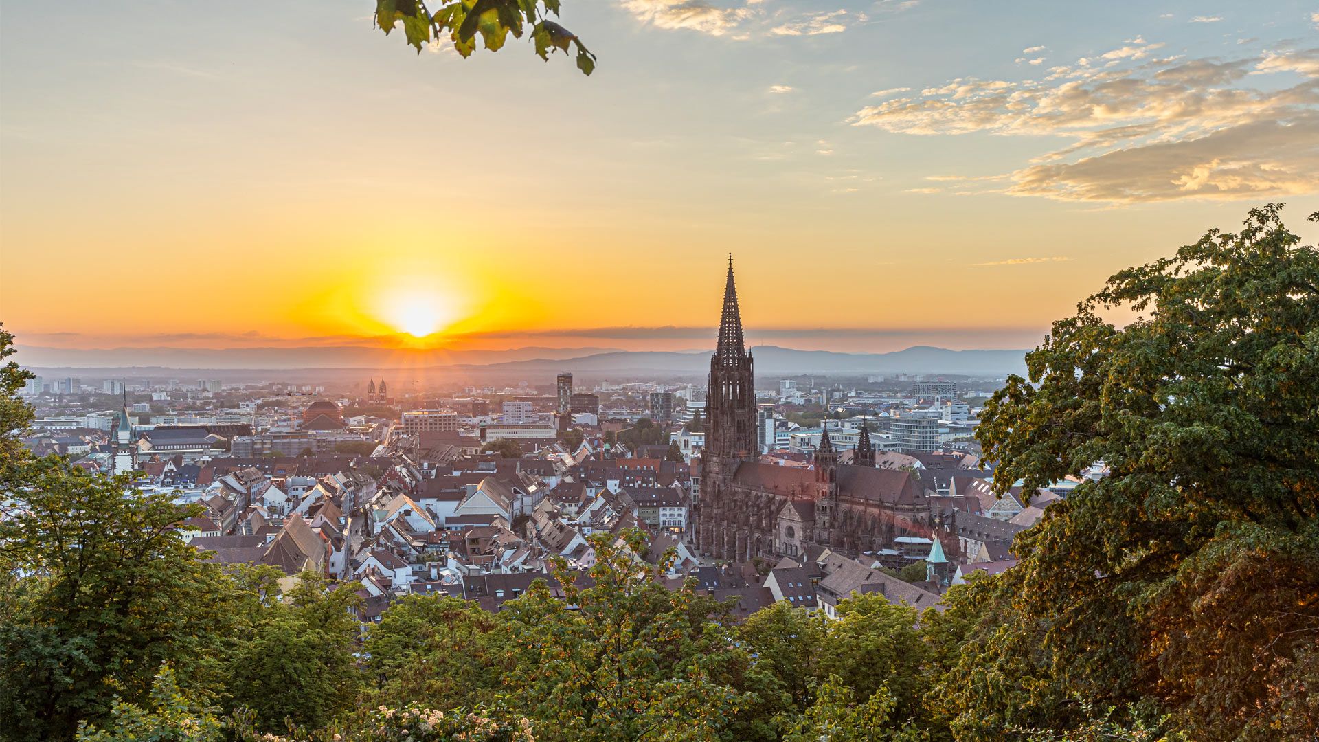 Blick vom Schlossberg über Freiburg
