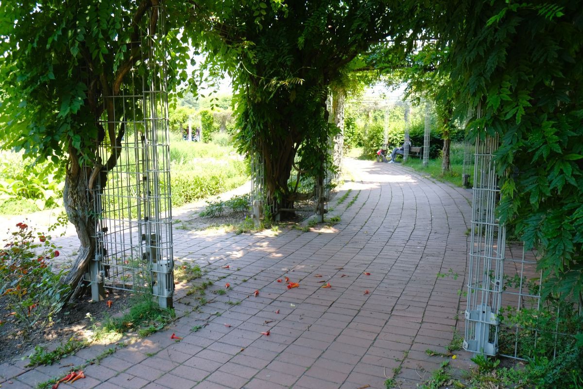 Die Pergola im Eschholzpark mit Schatten