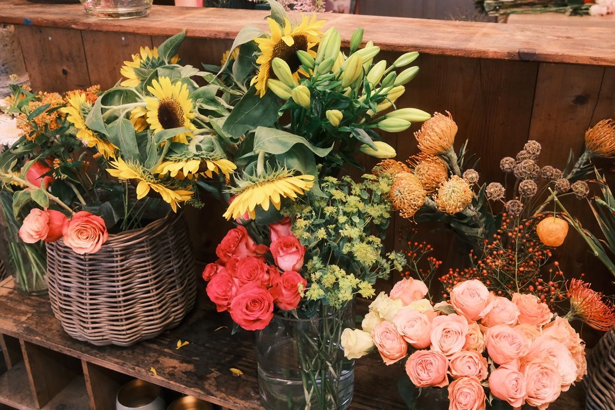 Bunte Blumen bei AlphaFlor