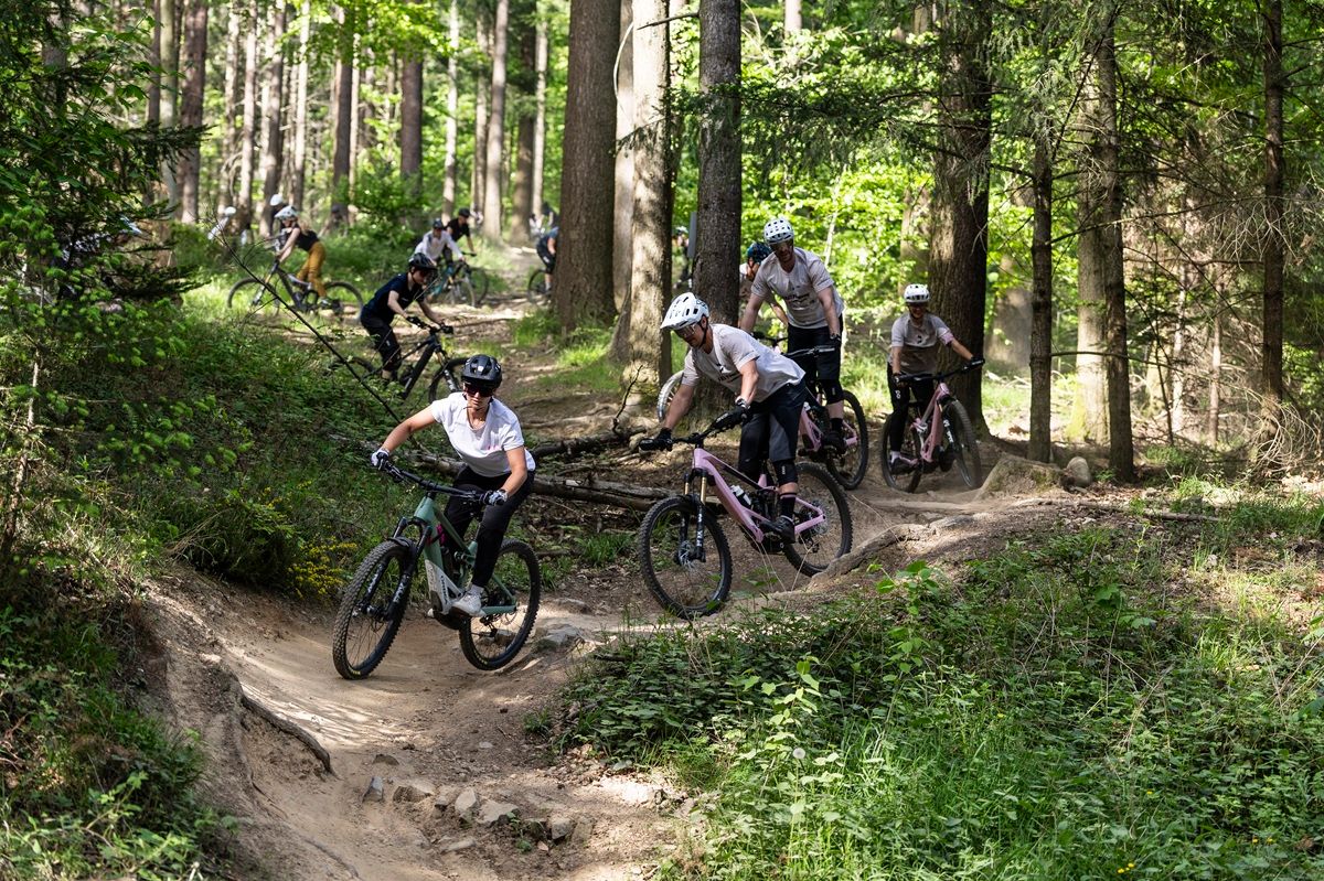 Mountainbiker auf einem Trail