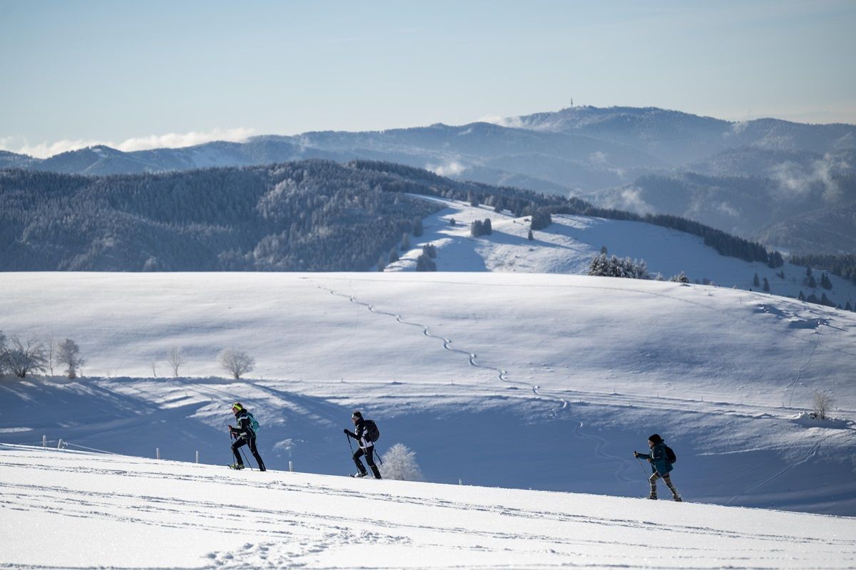 Schneeschuhwanderer am Schauinsland