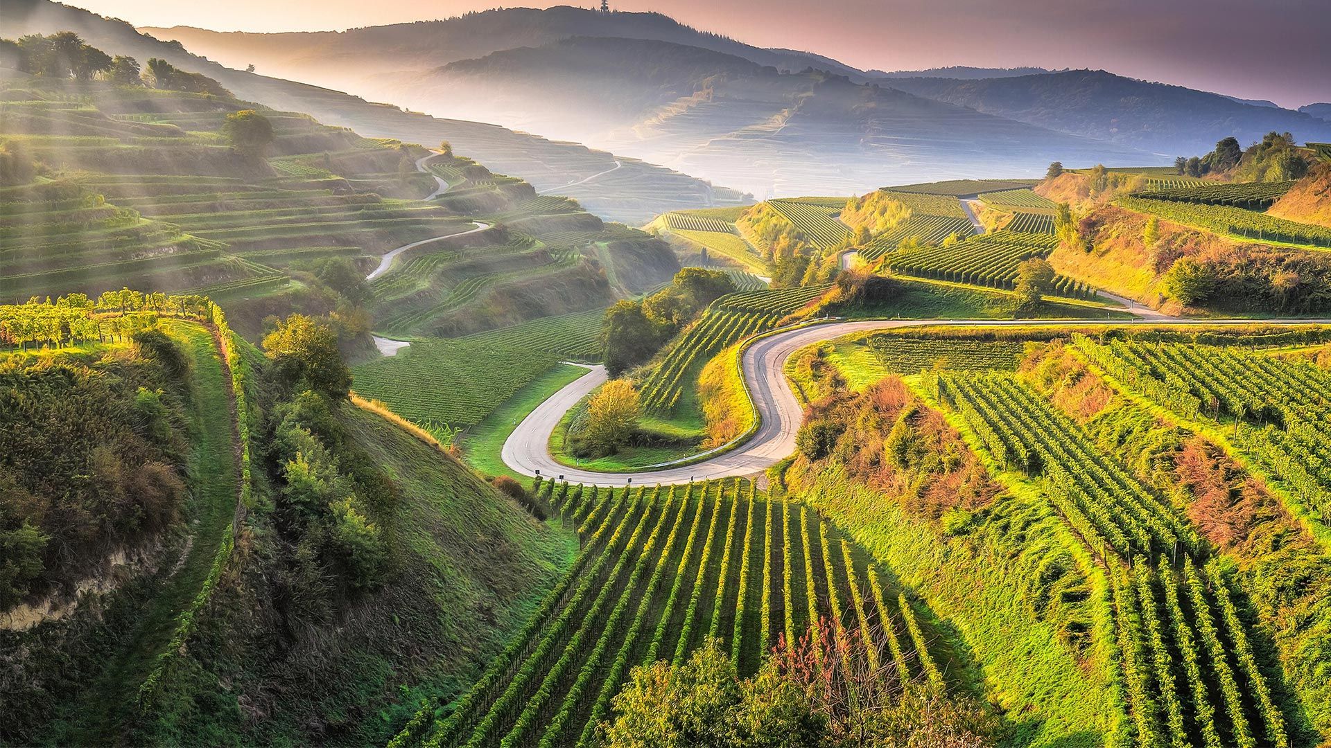 Texaspass Kaiserstuhl