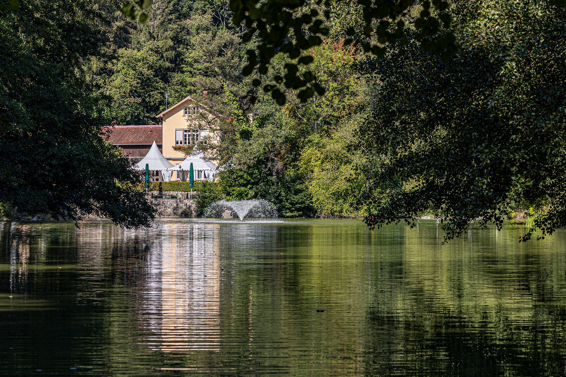 Waldsee