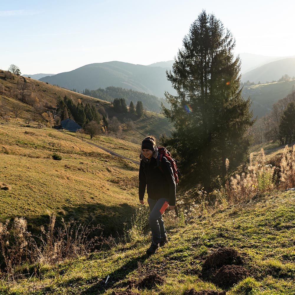Wandern Schauinsland Freiburg