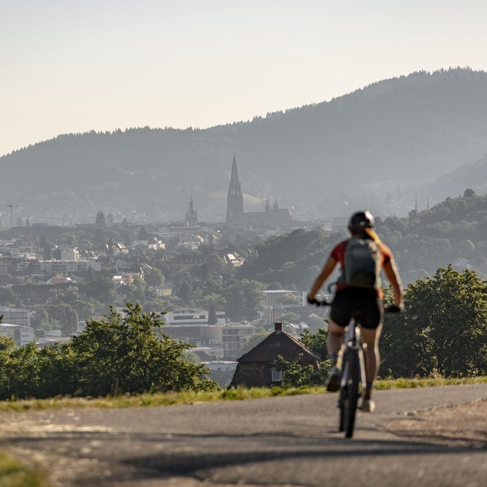 Fahrradfahrer mit Blick auf die Freiburg