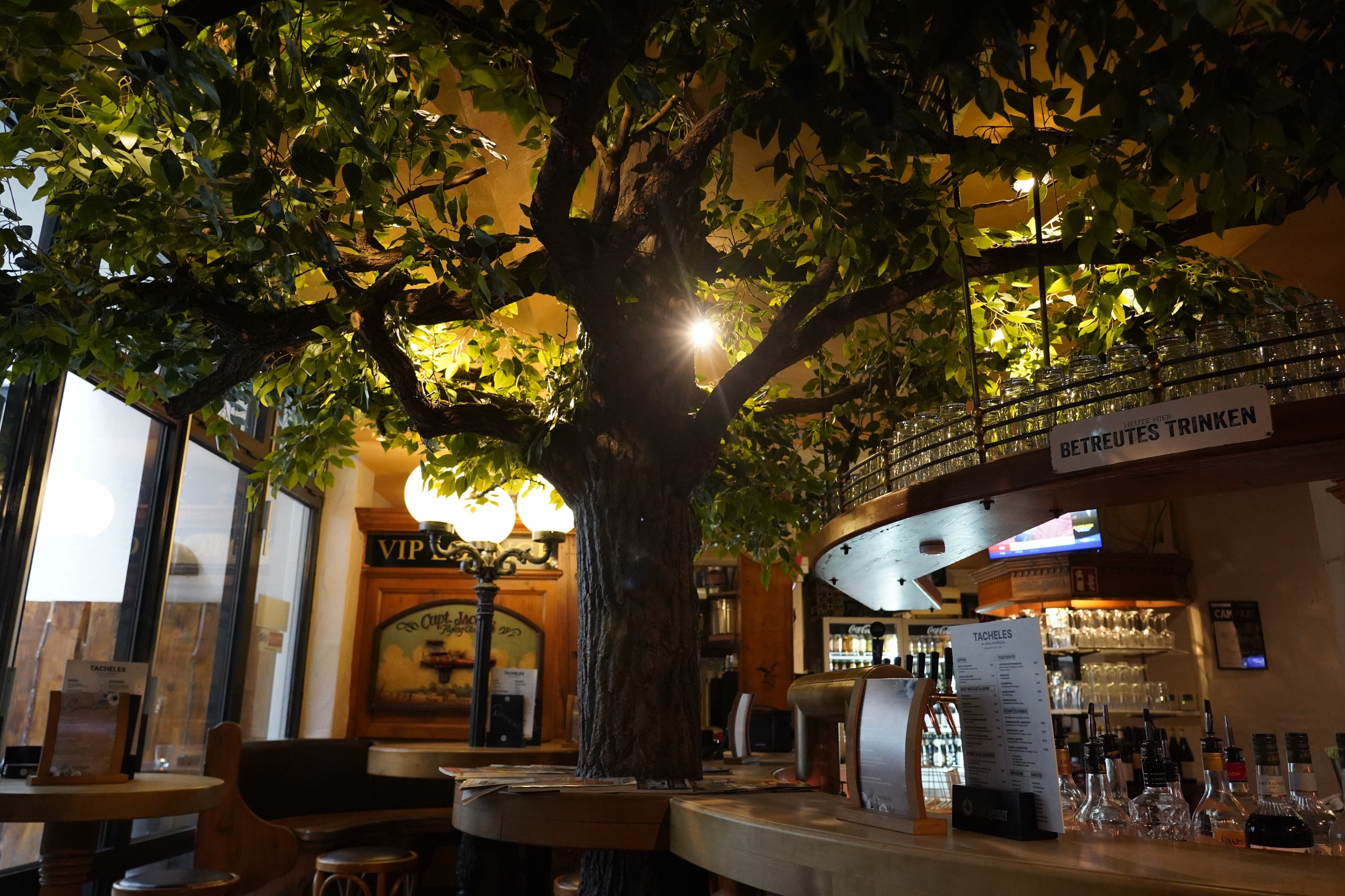 Eine Bar mit einem großen künstlichen Baum in der Mitte, umgeben von Tischen und Flaschen. Ein Schild zeigt 'Betreutes Trinken'. Gemütliche Atmosphäre.