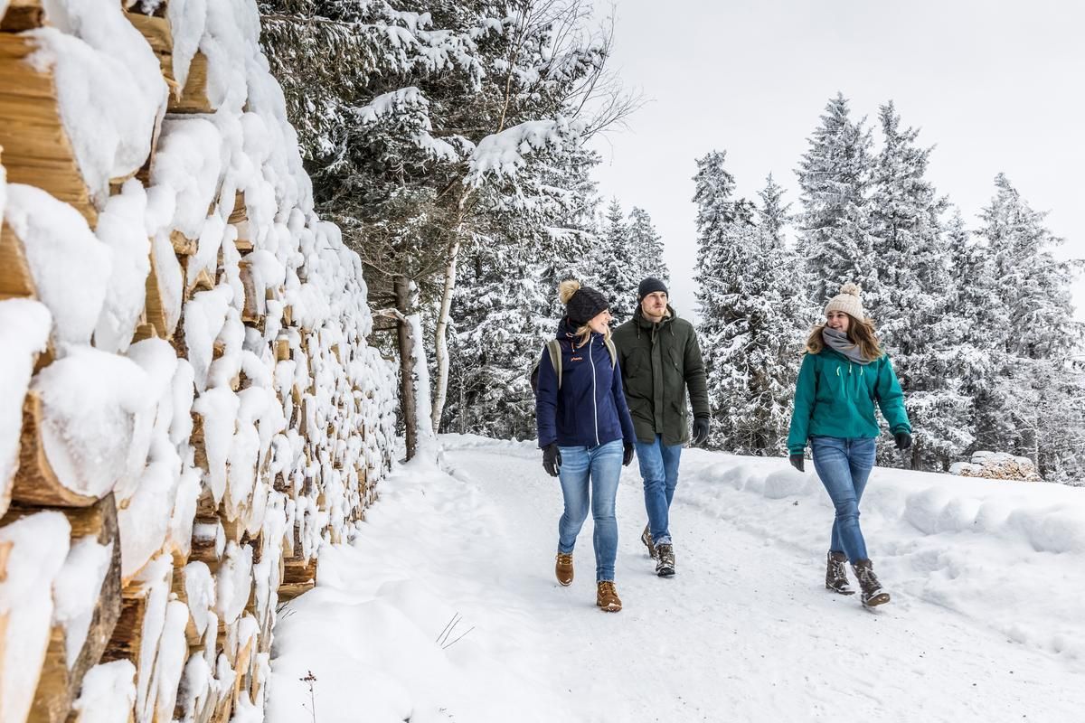 Drei Personen wandern im Winter bei Schnee im Schwarzwald 