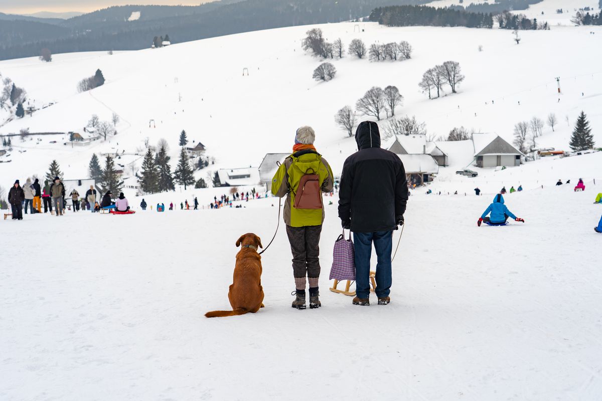 Familie beim Rodeln Schauinsland