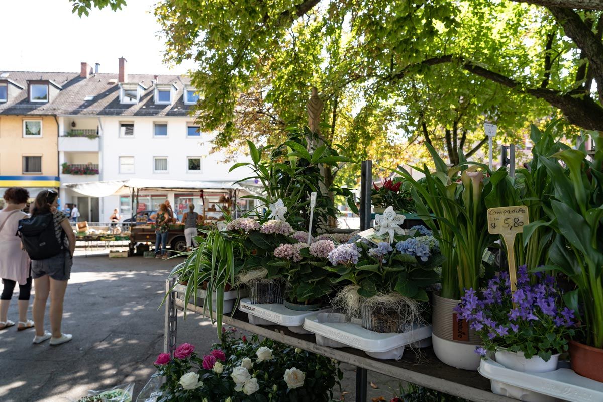 Stand auf dem Herdermer Bauermarkt