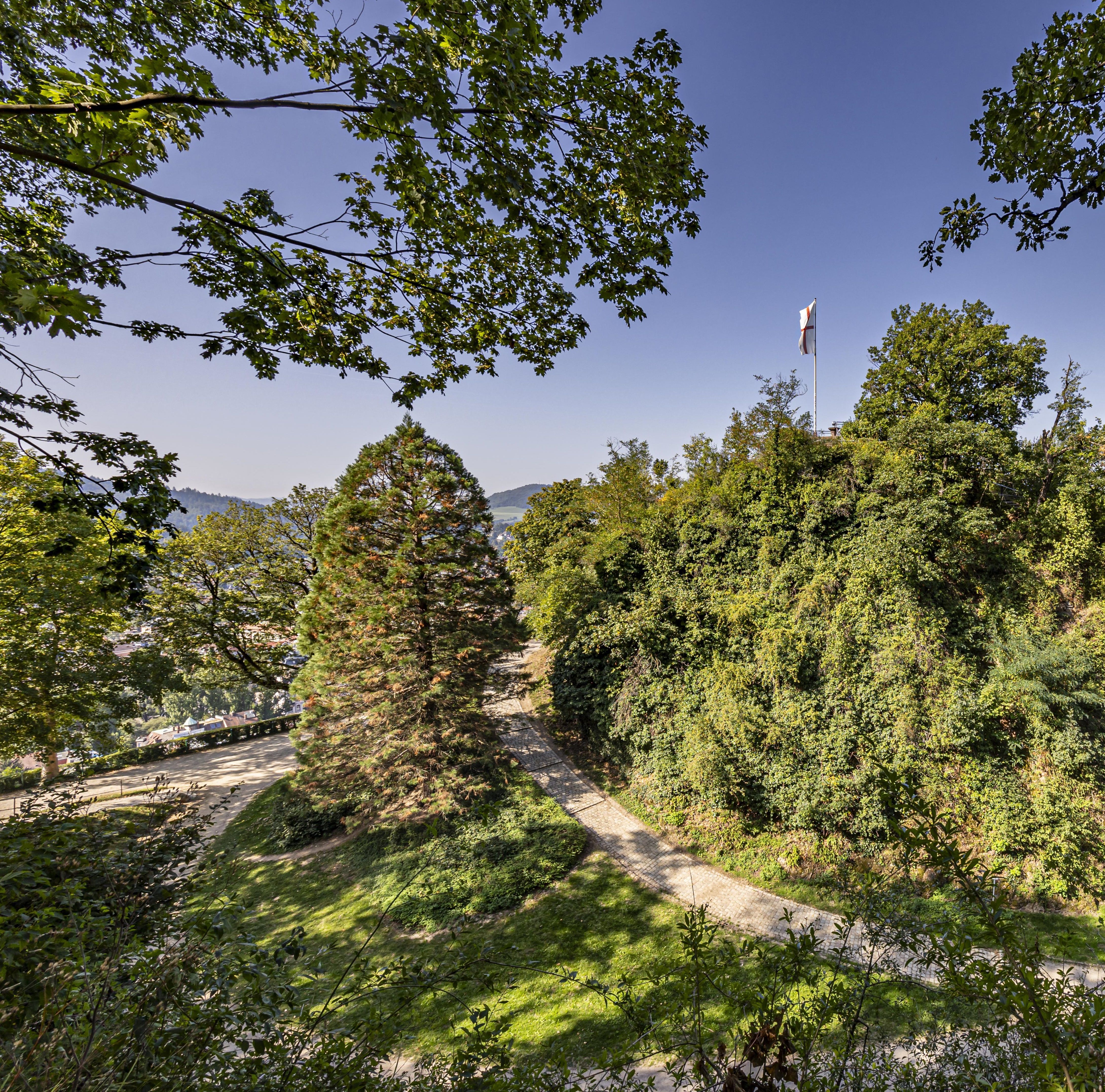 An der Ludwigshöhe am Schlossberg