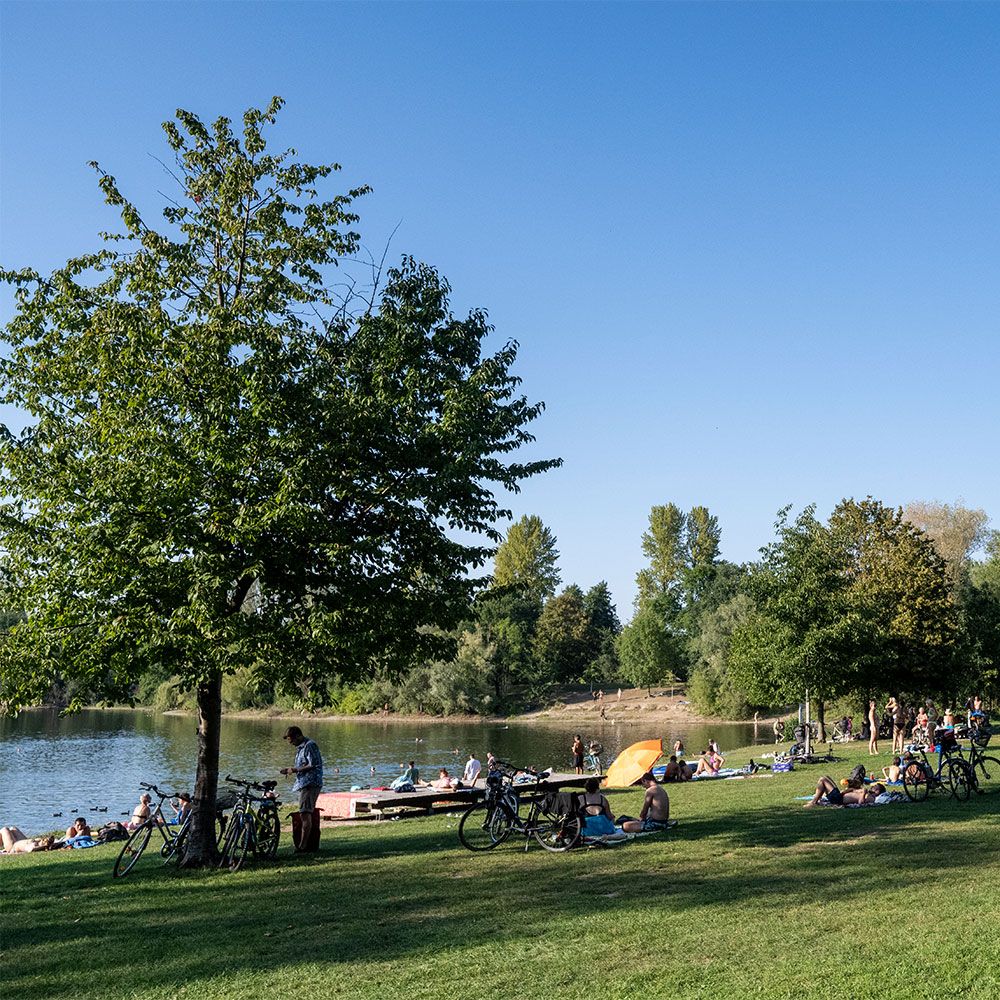 Dietenbachsee im Sommer