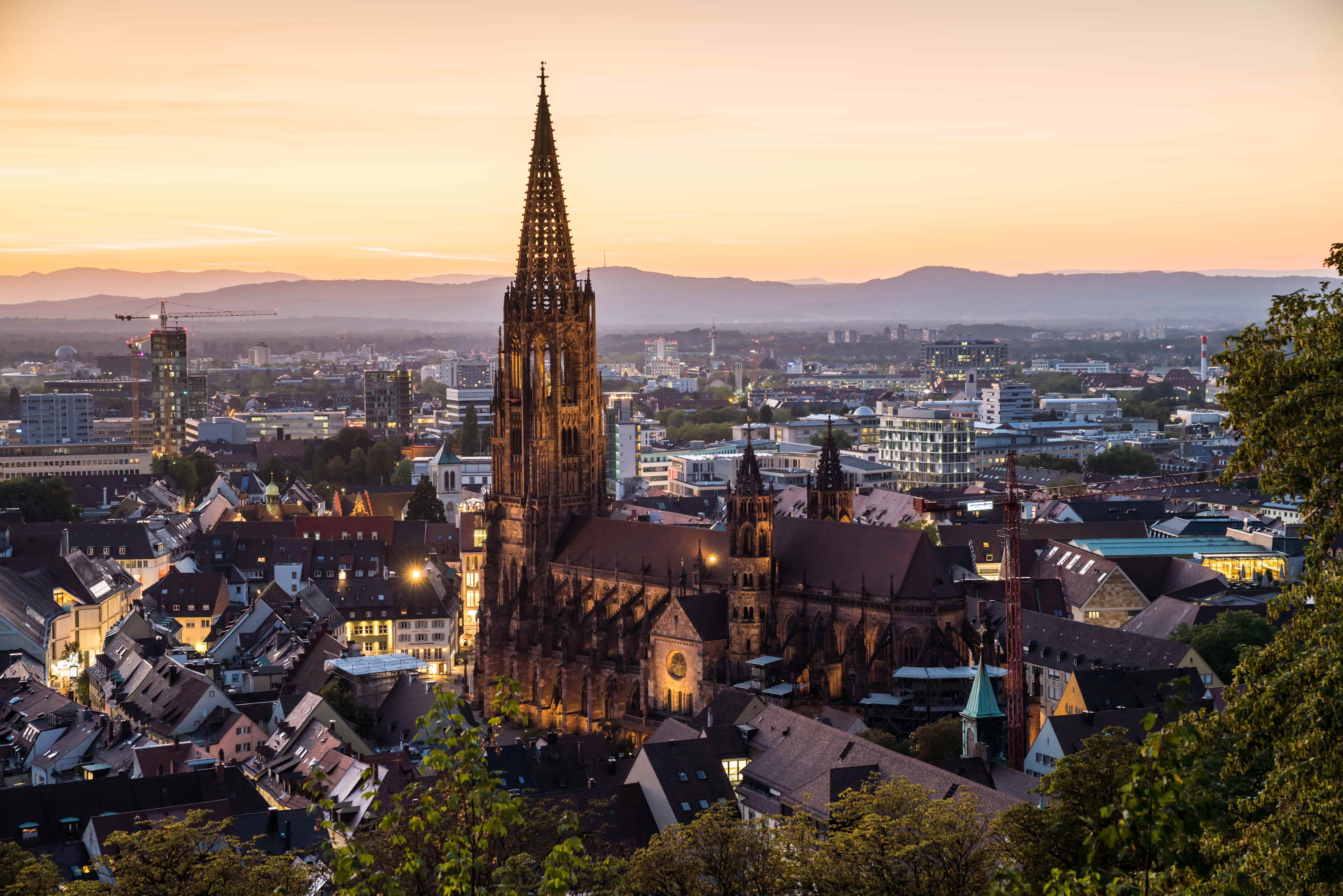 Freiburger Münster