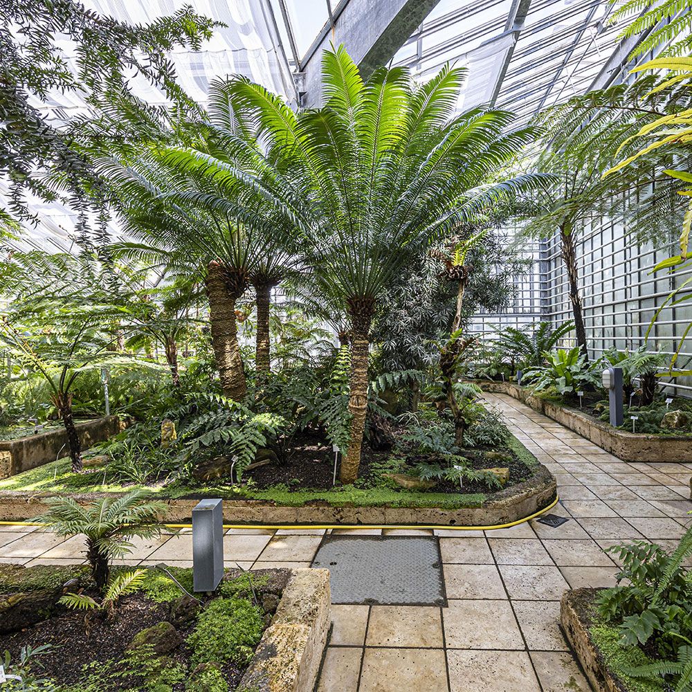Botanischer Garten Indoor 