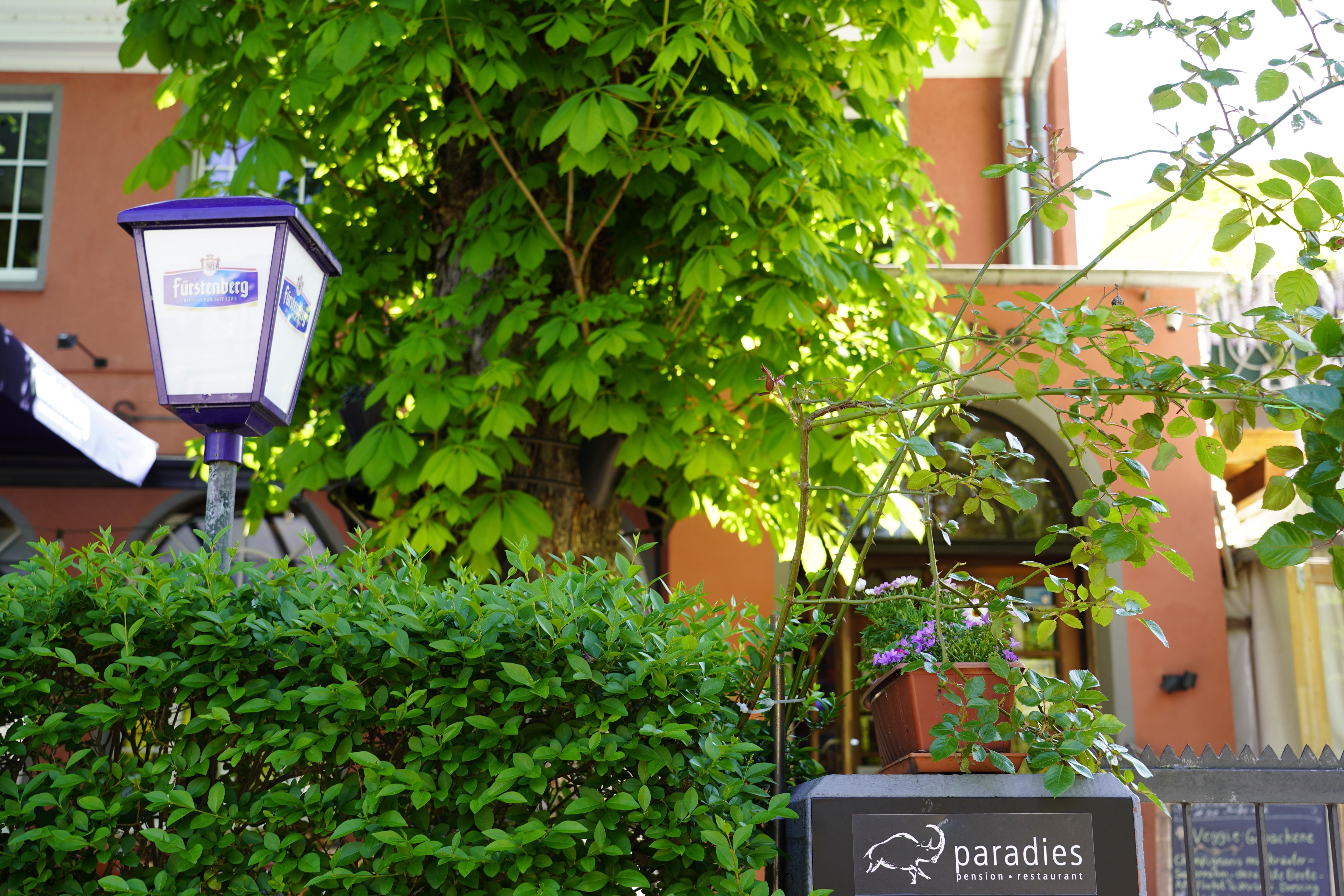 Eingang eines Restaurants namens 'paradies' mit üppigem Grün, einer Laterne und einem Schild. Im Hintergrund ist ein Gebäude mit roter Fassade zu sehen.
