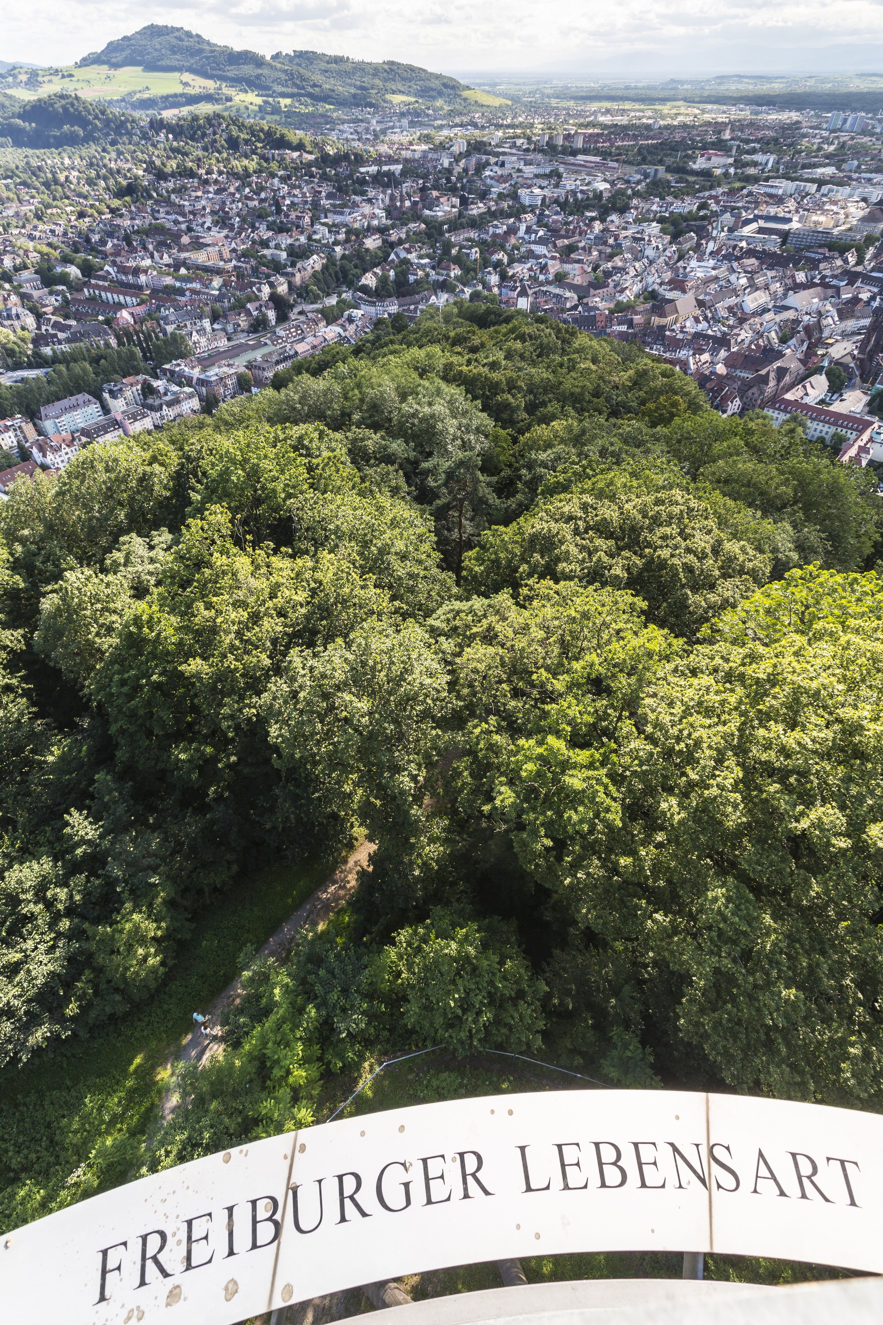 Blick vom Schlossberg auf Freiburg