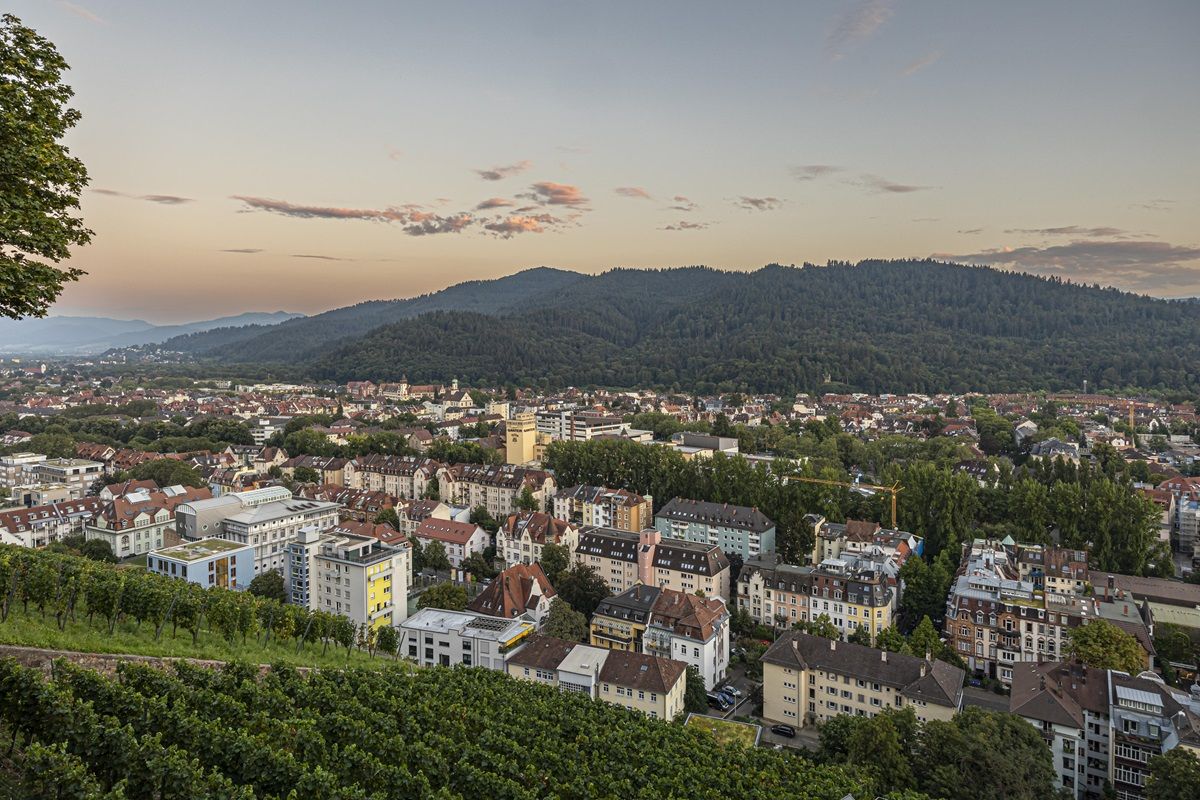 Blick vom Schlossberg über Freiburg Richtung Dreisamtal