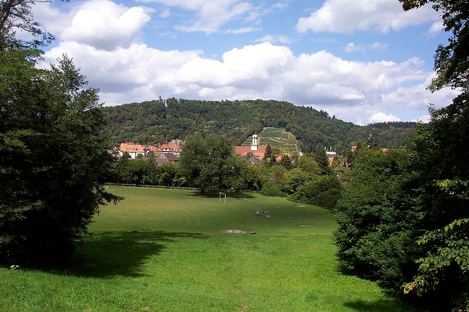 Die Sternwaldwiese in Freiburg mit grüner Wiese, umgeben von Bäumen und Hügeln. Im Hintergrund sind Häuser und ein bewaldeter Hügel zu sehen.