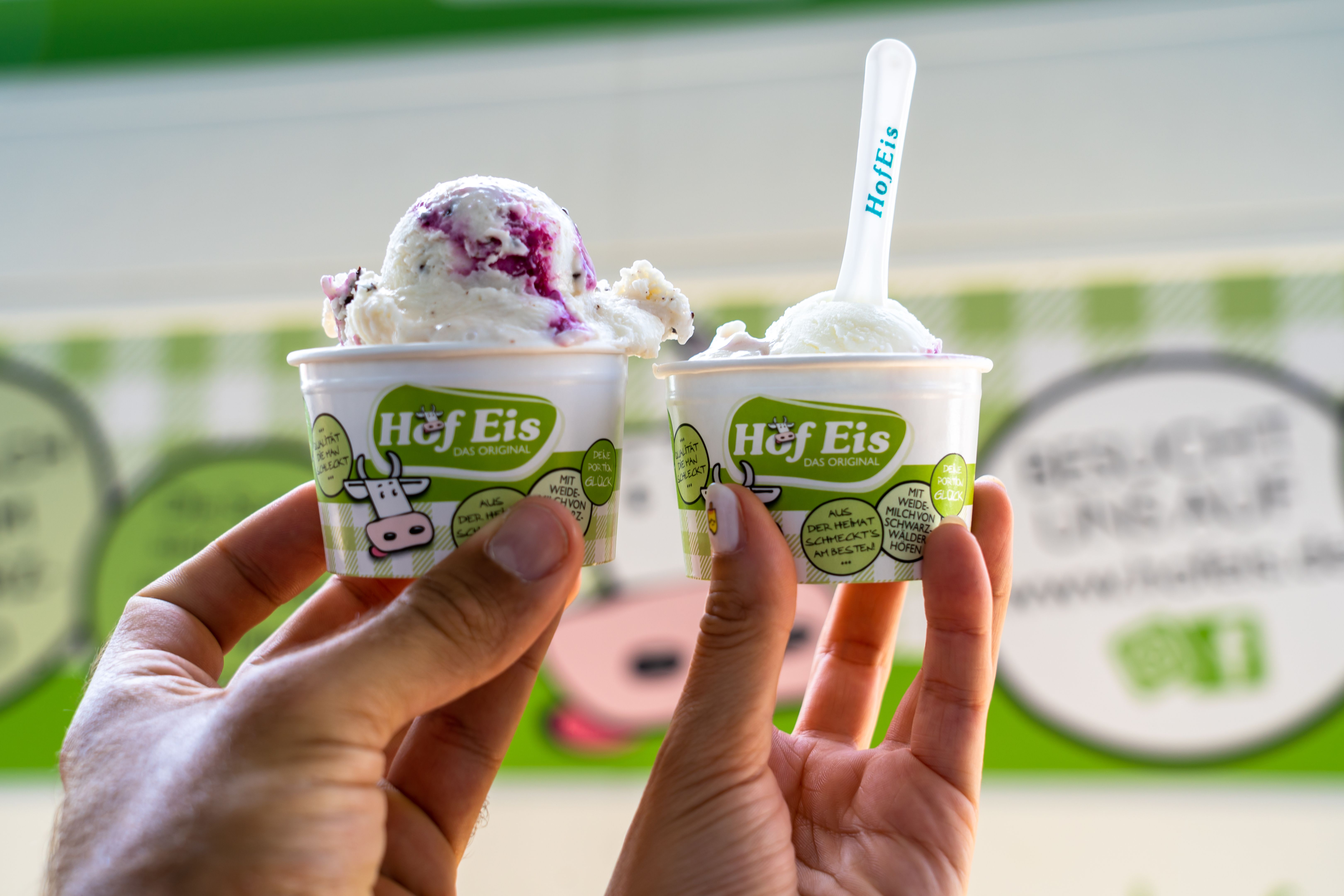 Zwei Hände halten Becher mit Hof Eis, einem Eis mit lila und weißer Farbe, vor einem grünen Hintergrund.