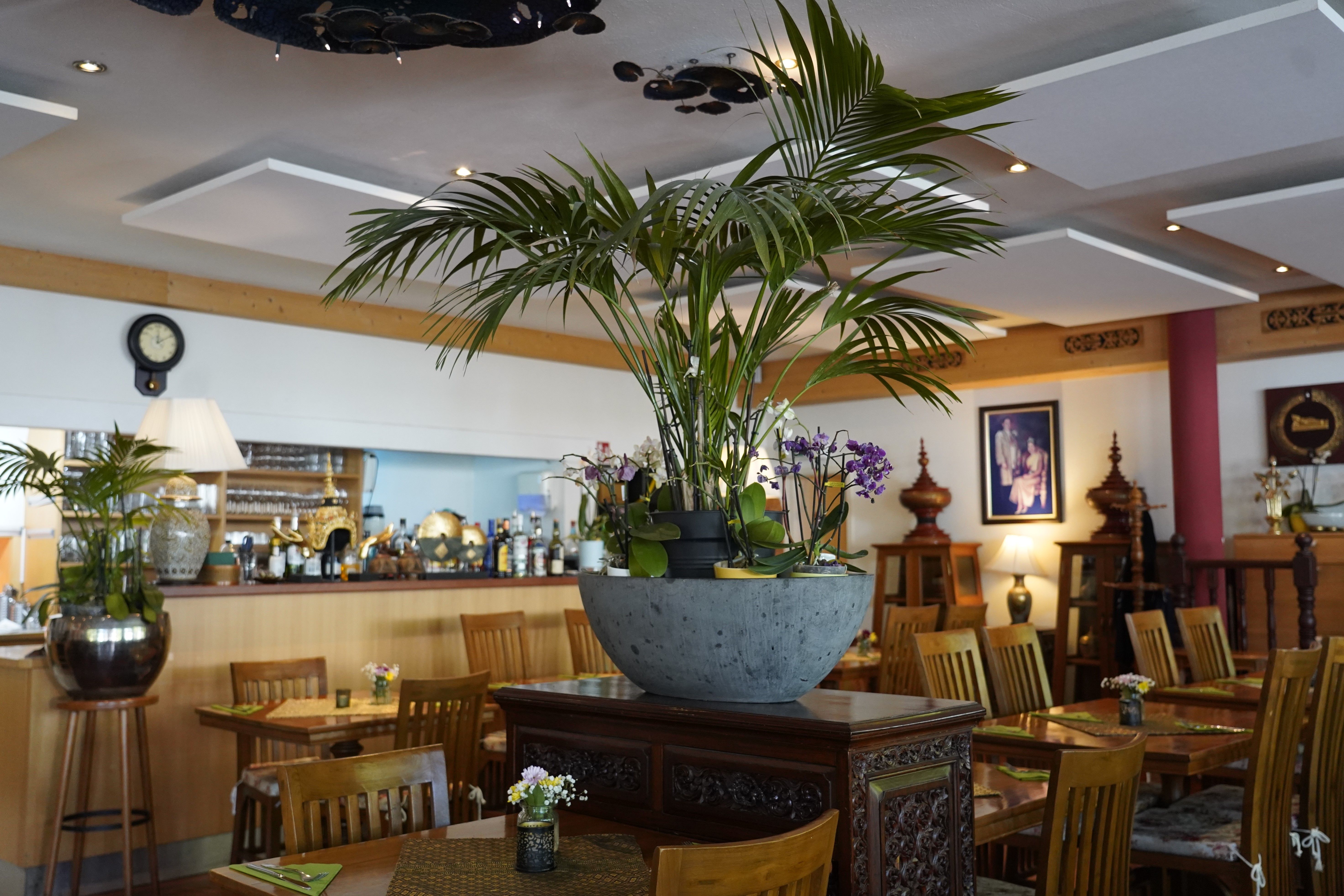 Stilvoll eingerichtetes Thai-Restaurant in Freiburg-Herdern mit warmem Licht und authentischem Ambiente.