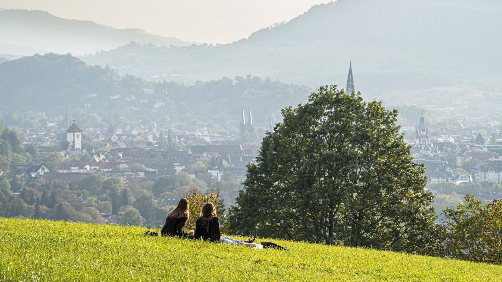 Blick von der Hebsackwiese auf Freiburg