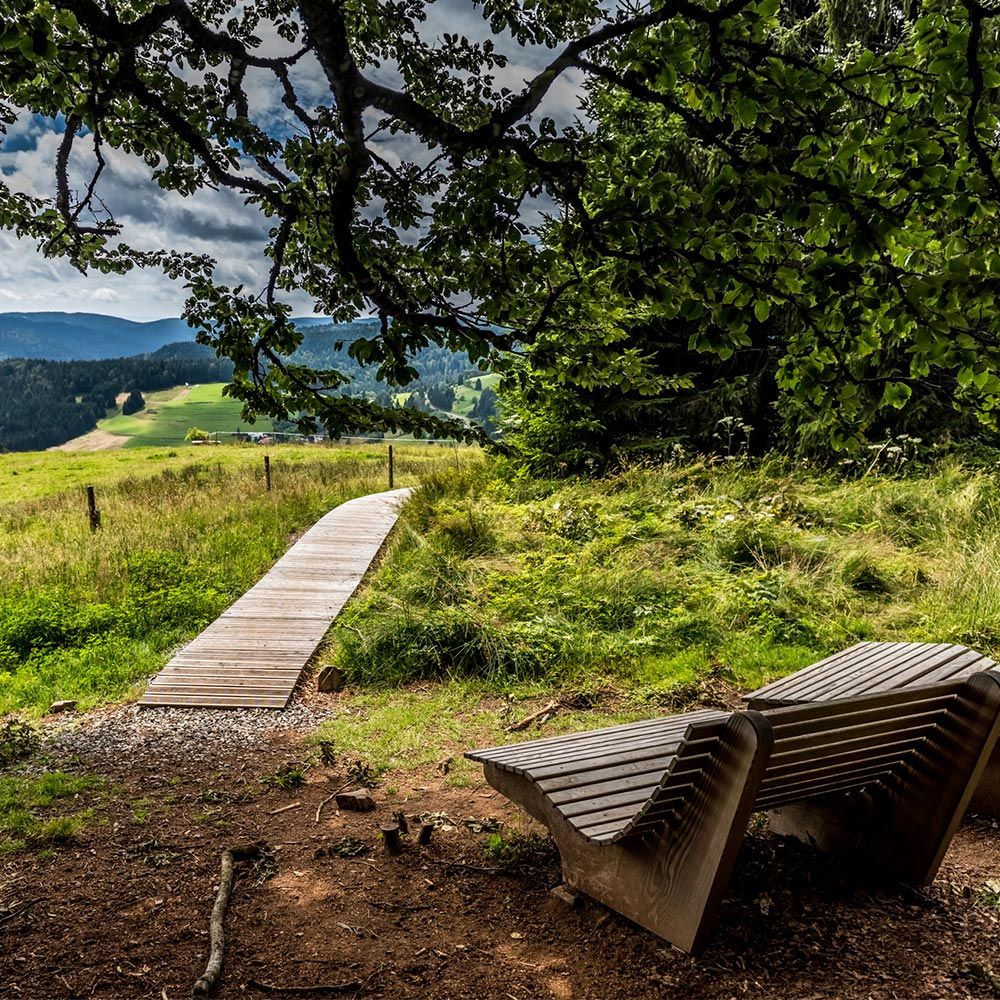 Himmelsliege Todtmoos Lebküchlerweg