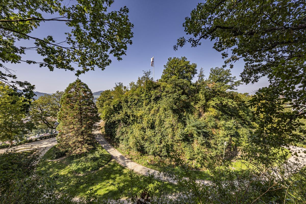 Ludwigshöhe Schlossberg