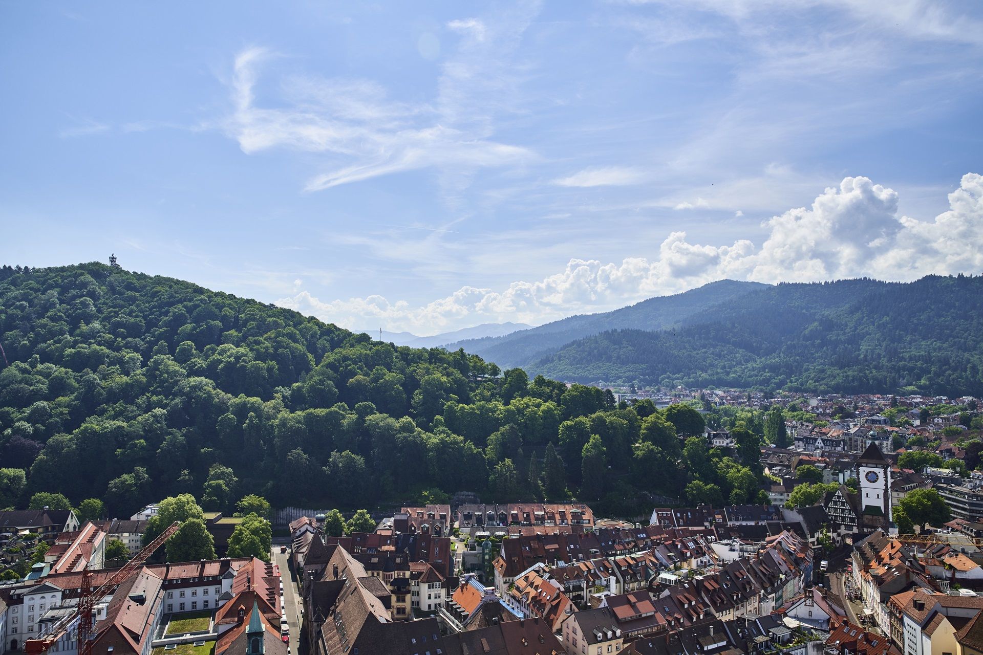 Panoramablick auf Freiburg vom Schlossberg