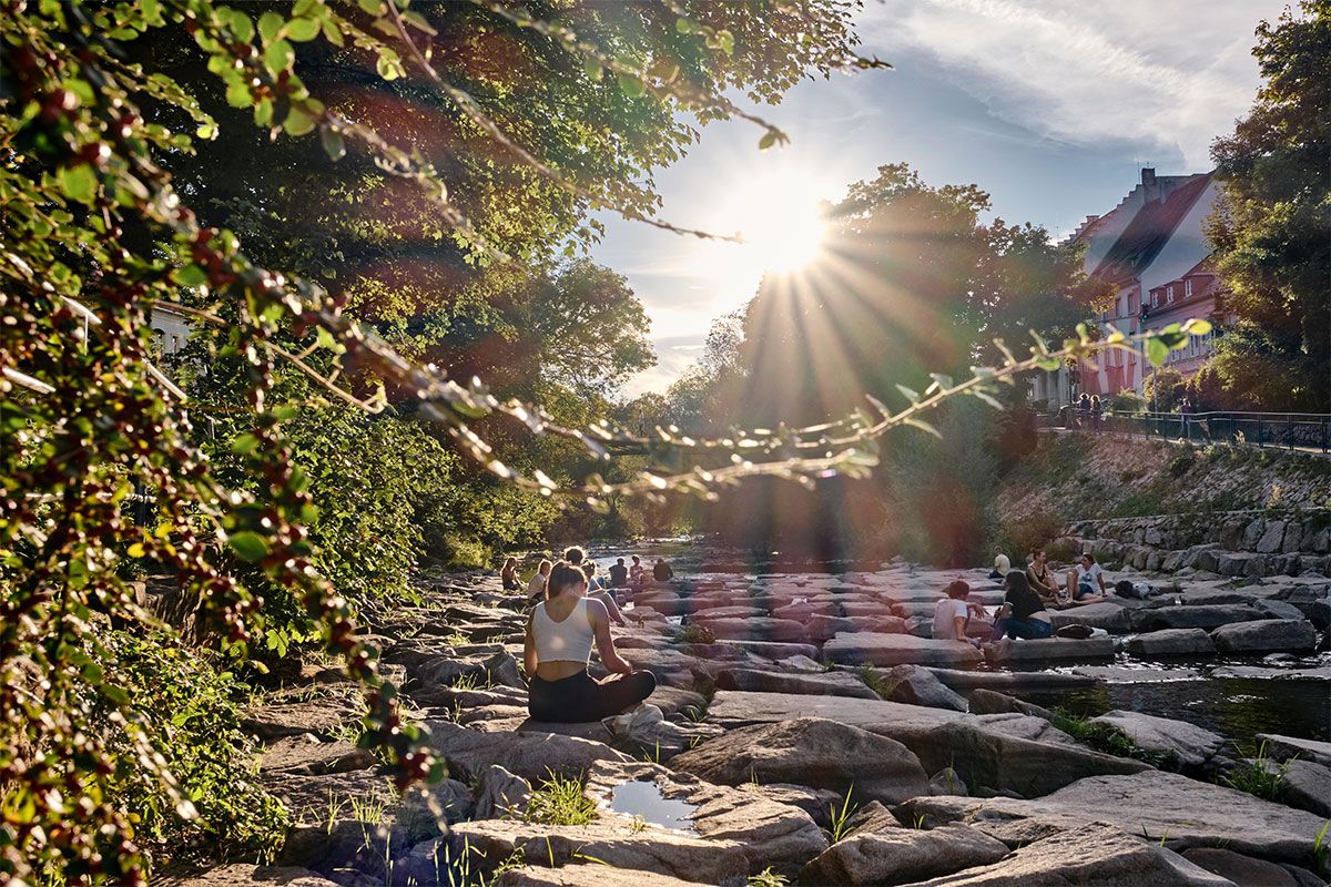 Sommer an der Dreisam