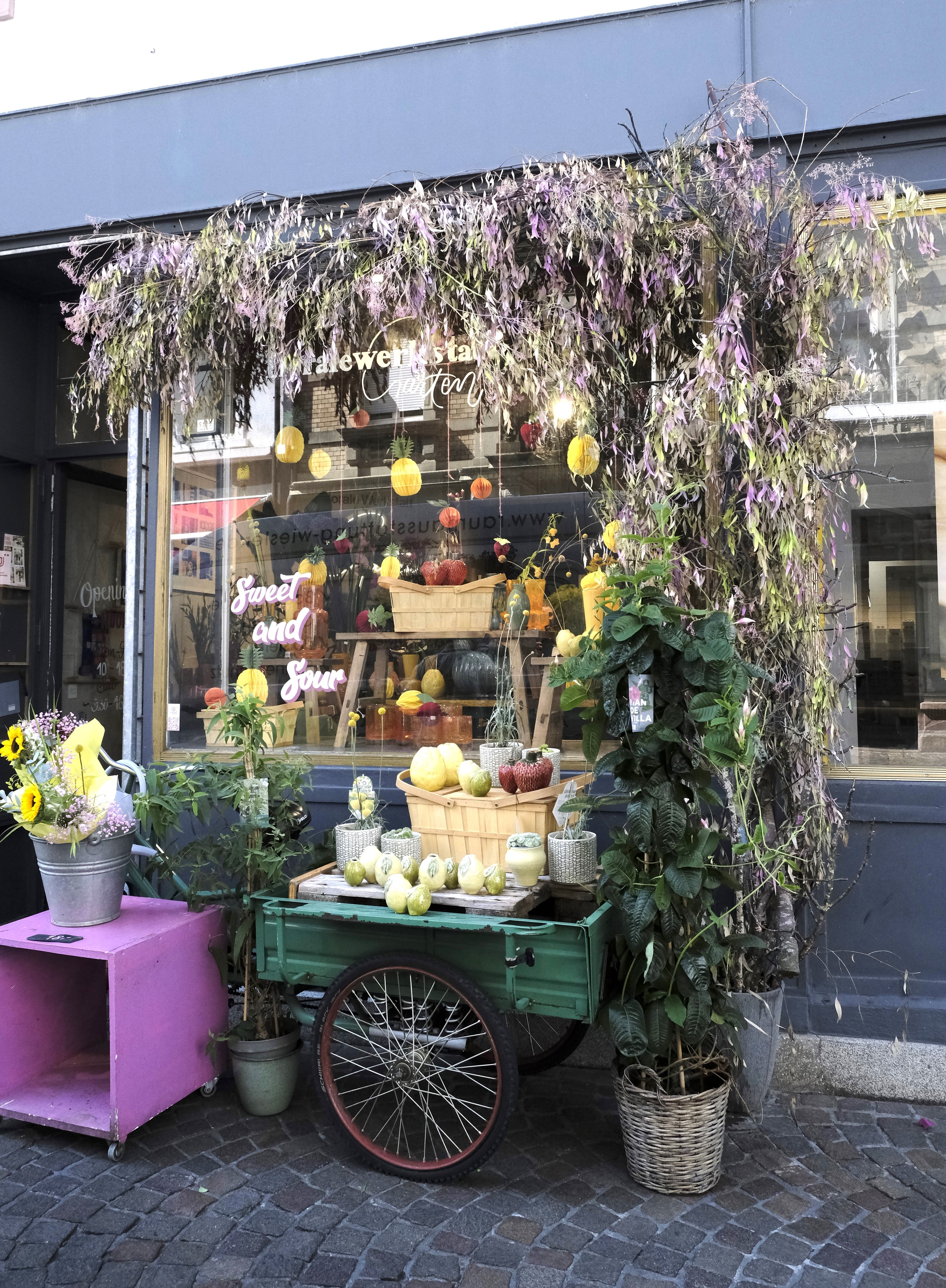 Ein Laden mit dekoriertem Schaufenster, umgeben von Pflanzen und Früchten. Ein grüner Wagen mit Kürbissen und Äpfeln steht davor.