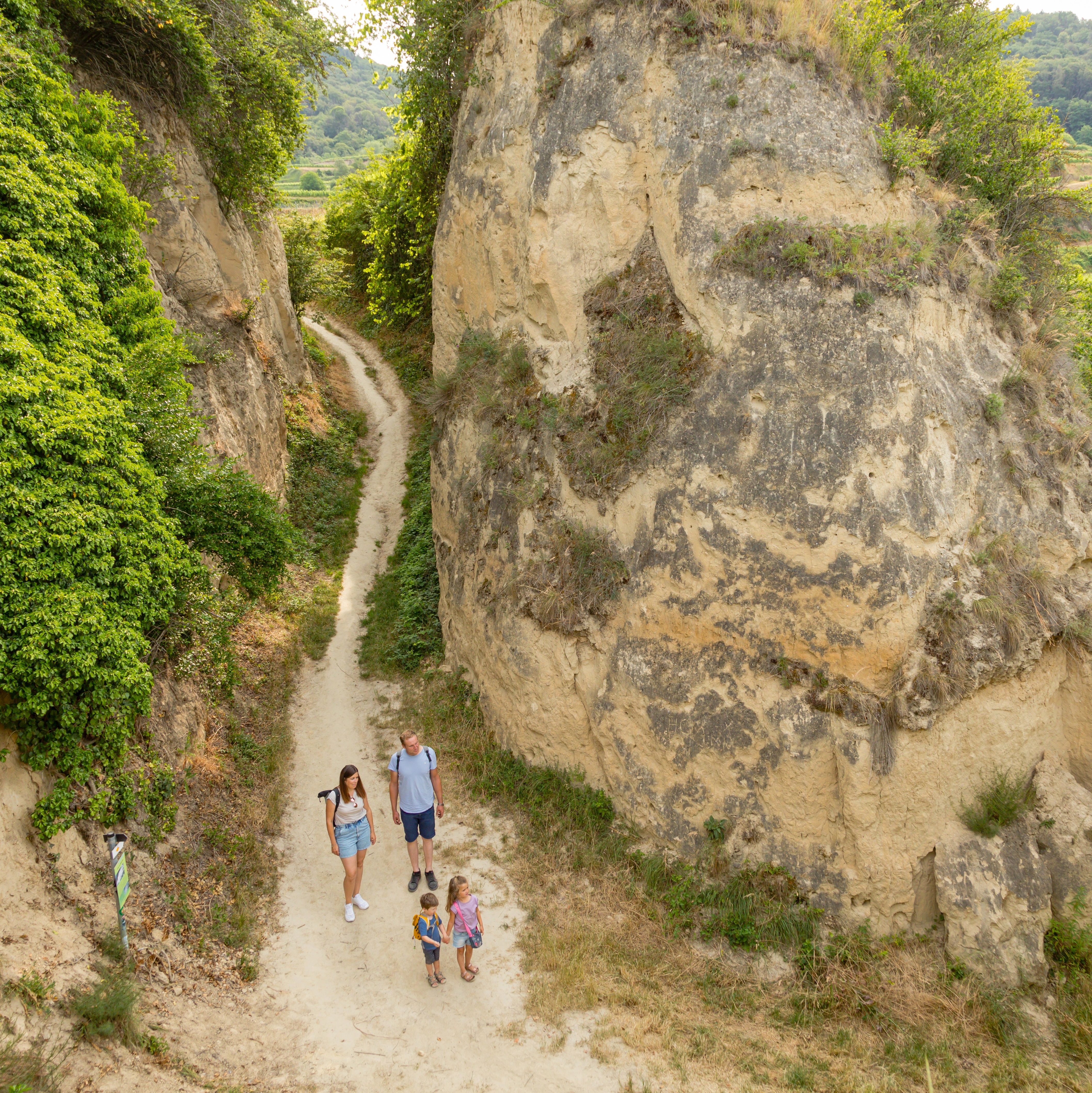 Blick auf den Wanderweg Lösshohlwegpad