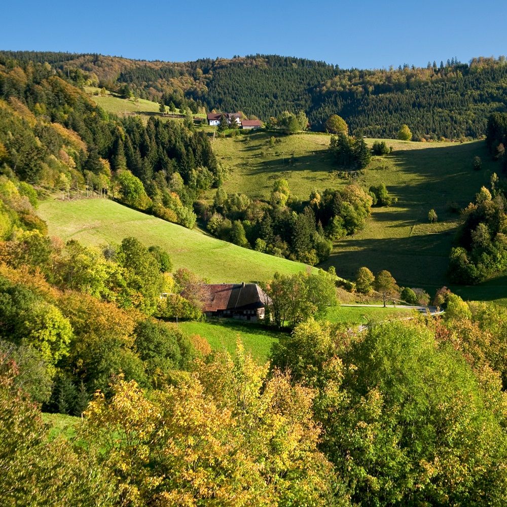 Blick auf die Landschaft in Bollschweil