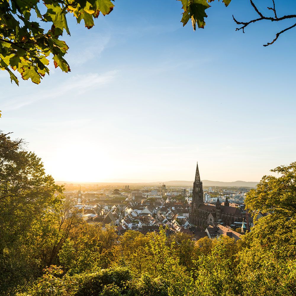 Blick auf Freiburg mit MÜnster