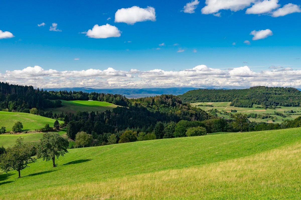 Blick auf die Felder in Horben