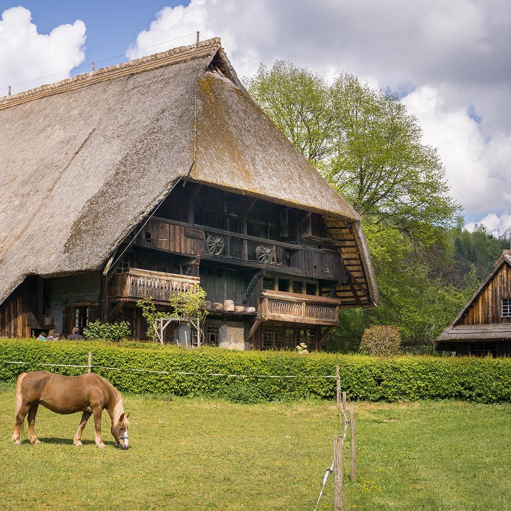 Vogtsbauernhof