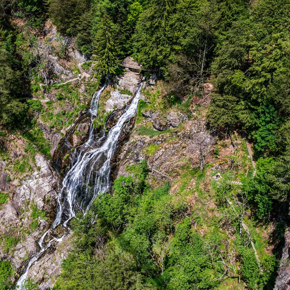 Blackforestline Todtnau