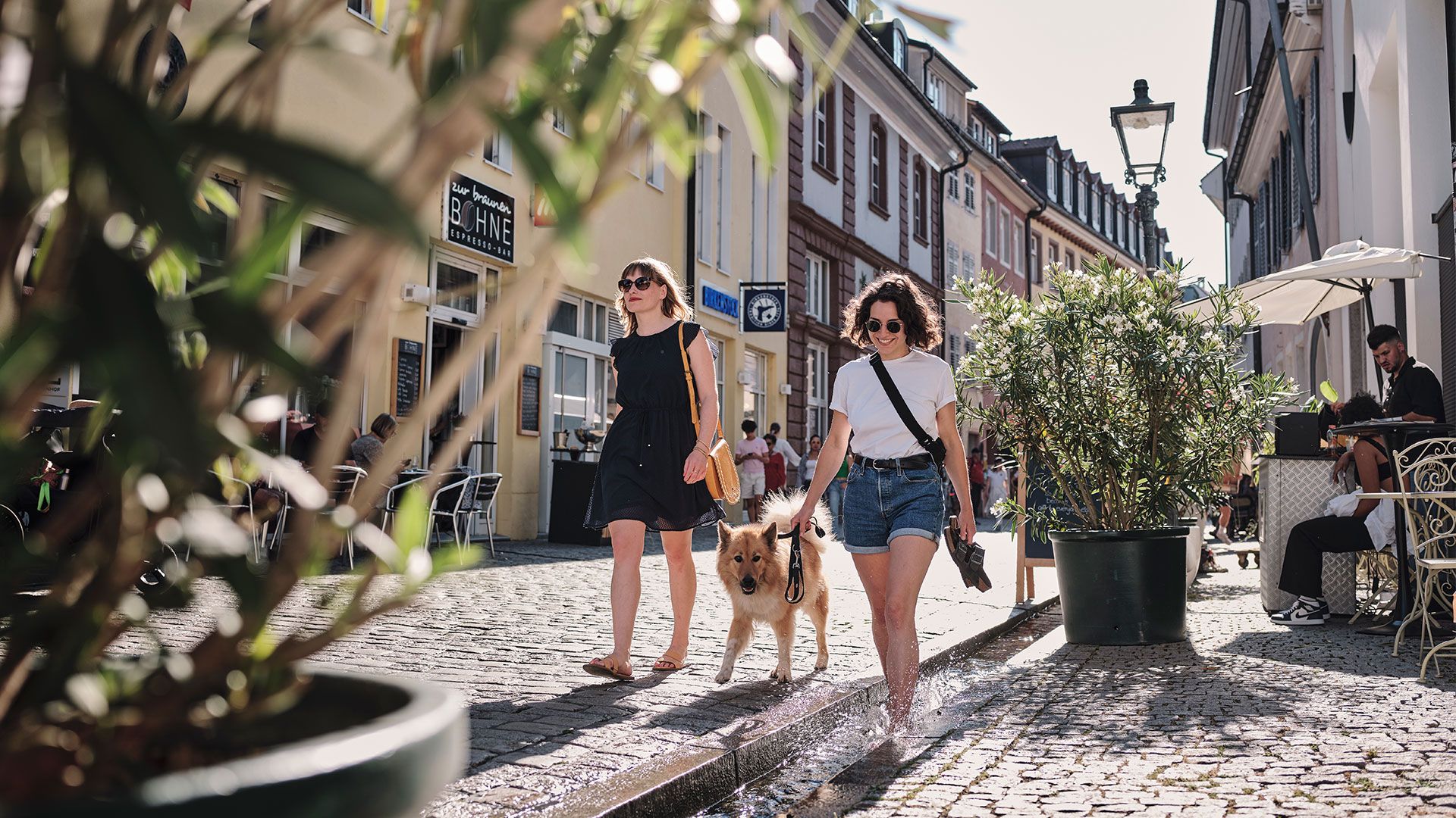 Zwei Frauen spazieren mit Hund durch Freiburg im Sommer