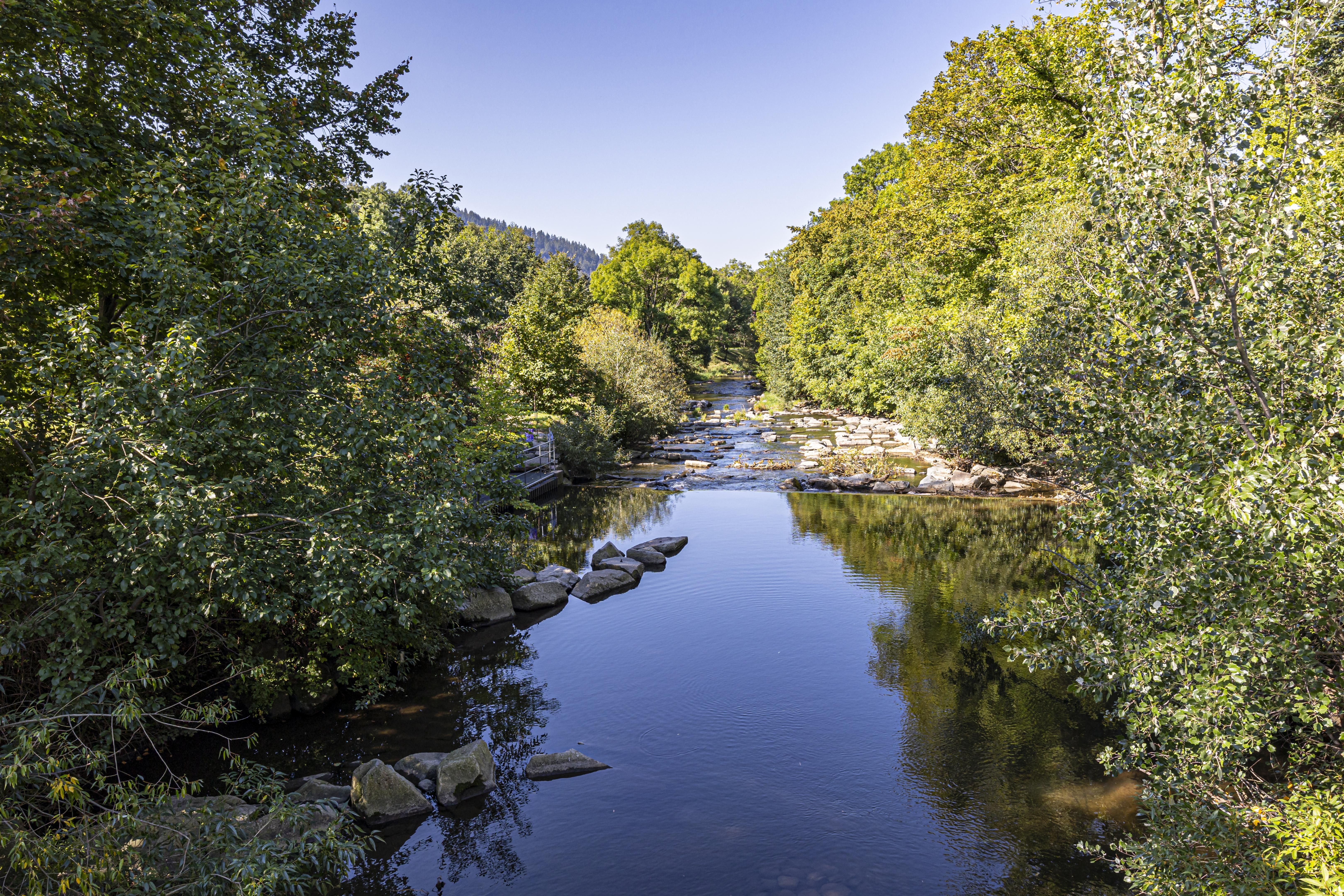 Ein ruhiger Fluss fließt durch eine grüne Landschaft, umgeben von Bäumen und Steinen, unter einem klaren blauen Himmel.
