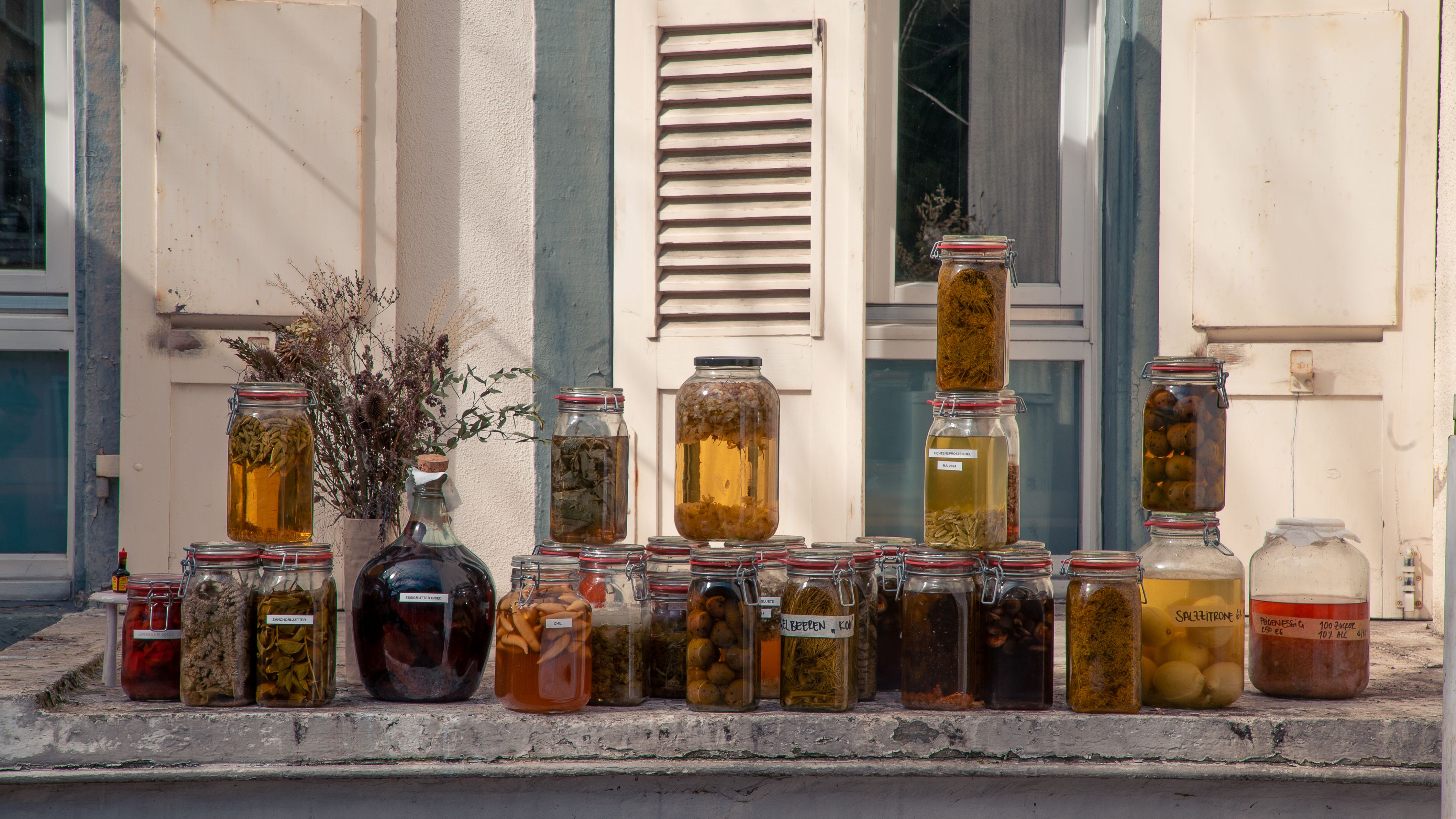 Ein Fensterbrett mit verschiedenen Einmachgläsern, gefüllt mit eingelegten Lebensmitteln und Kräutern. 