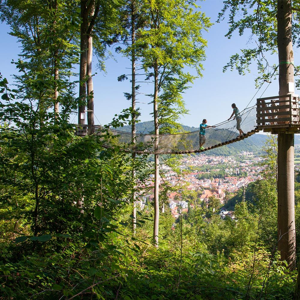 Baumkronenweg Waldkirch